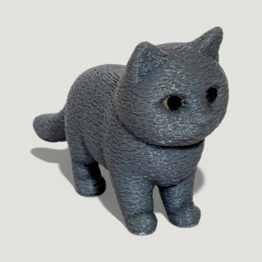 British Shorthair Anahtarlık