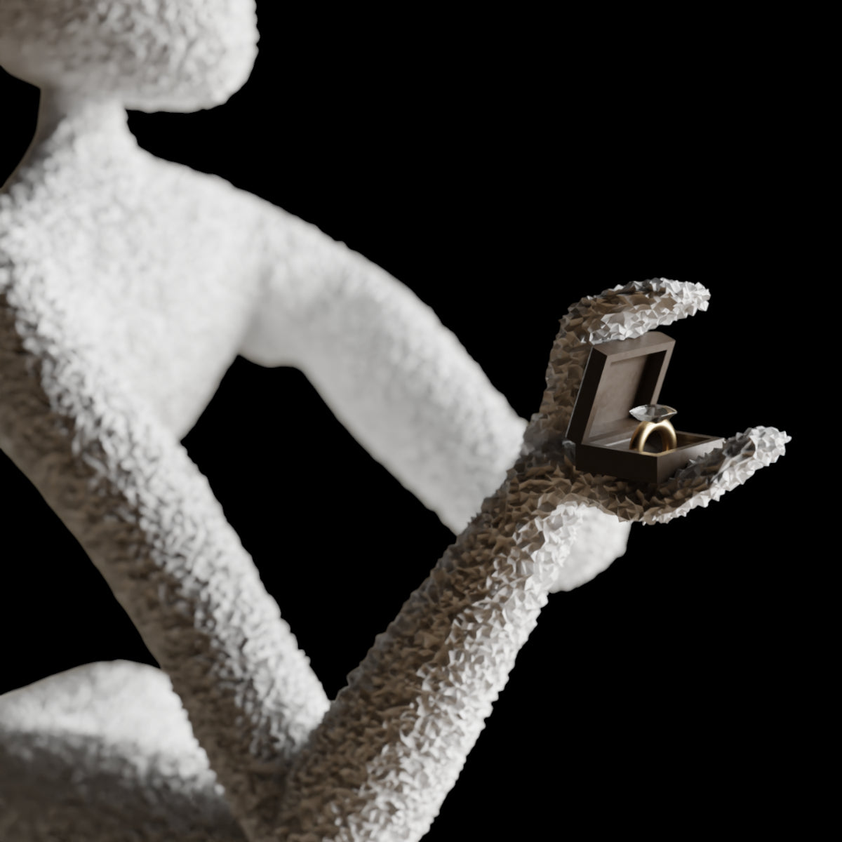 NObody's Proposal: A Symbol of Timeless Love