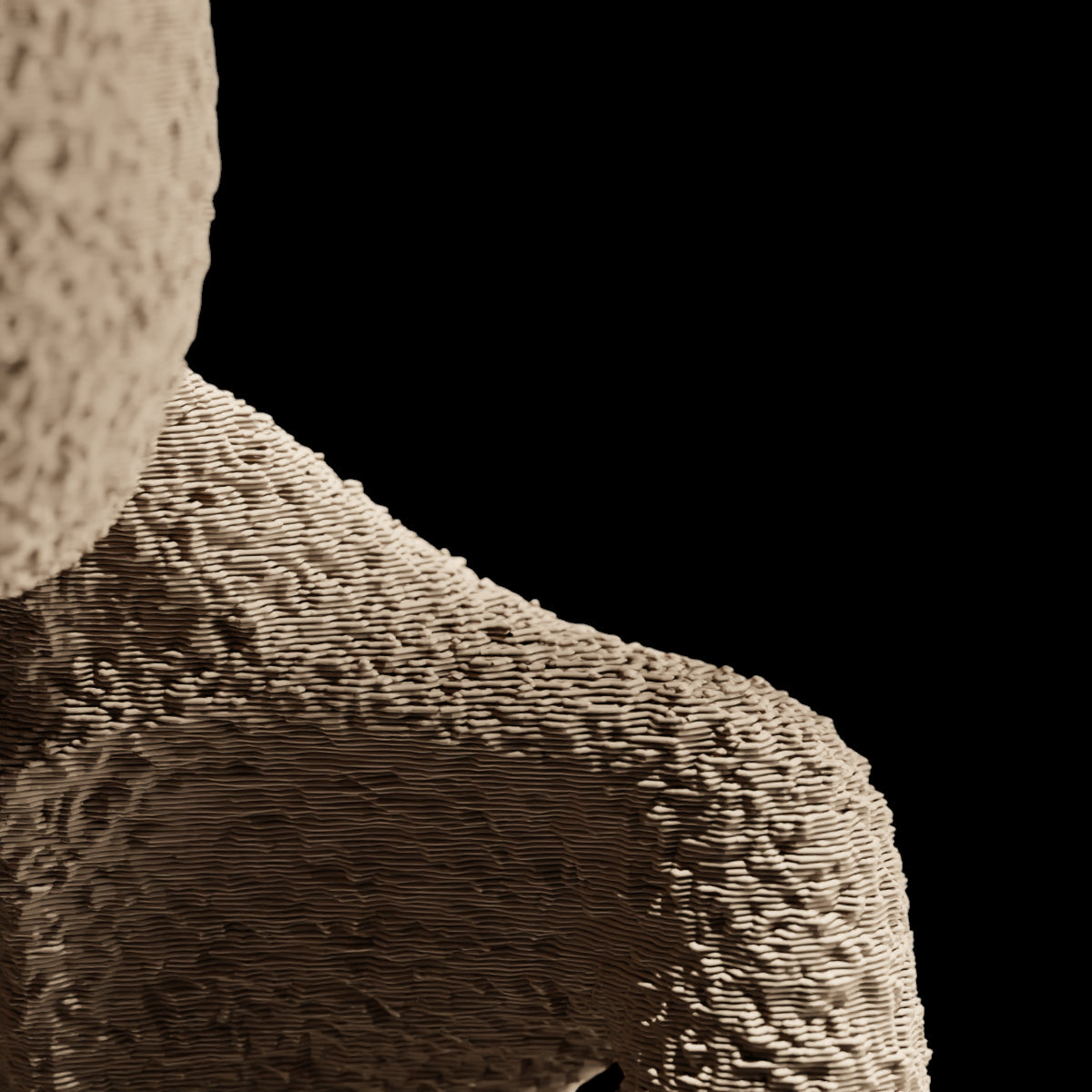 NObody - Serendipity: A Contemplative Encounter