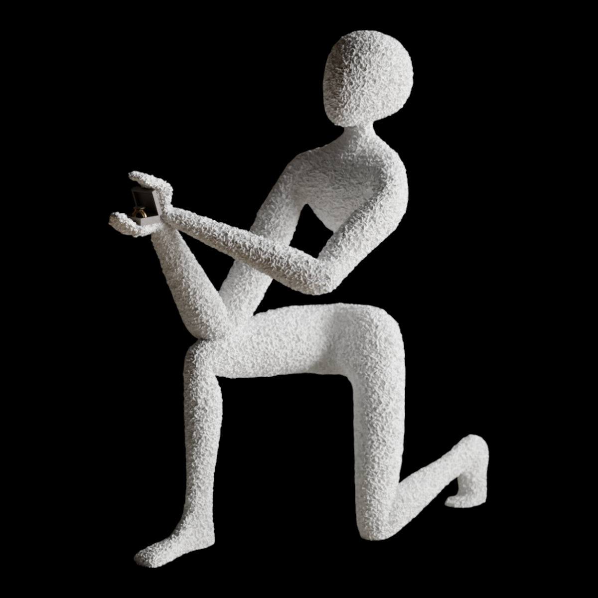 NObody's Proposal: A Symbol of Timeless Love