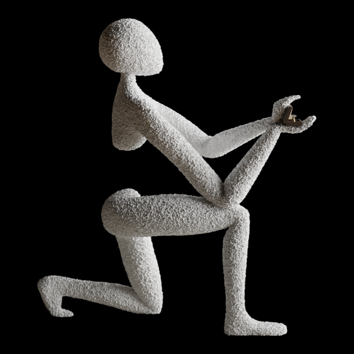 NObody's Proposal: A Symbol of Timeless Love