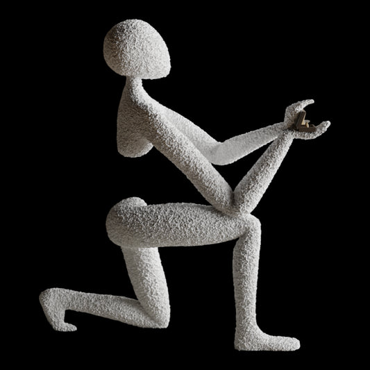 NObody's Proposal: A Symbol of Timeless Love