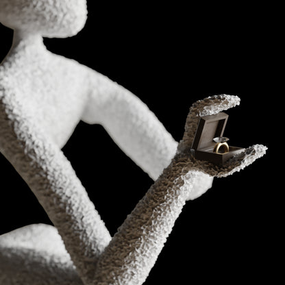 NObody's Proposal: A Symbol of Timeless Love