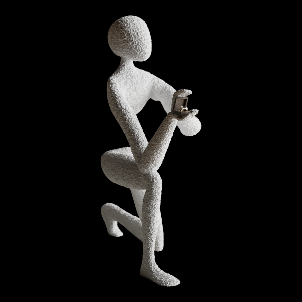 NObody's Proposal: A Symbol of Timeless Love