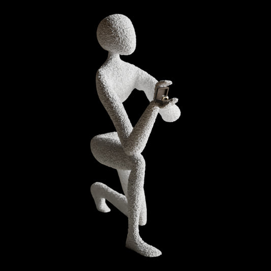 NObody's Proposal: A Symbol of Timeless Love