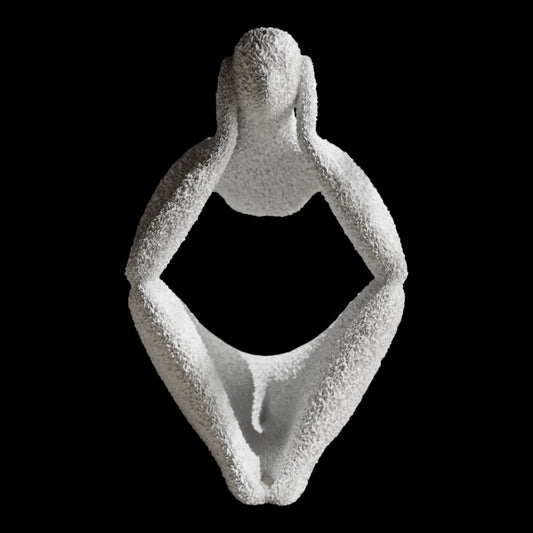 NObody: The Burdened King