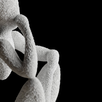 NObody - The Thinker